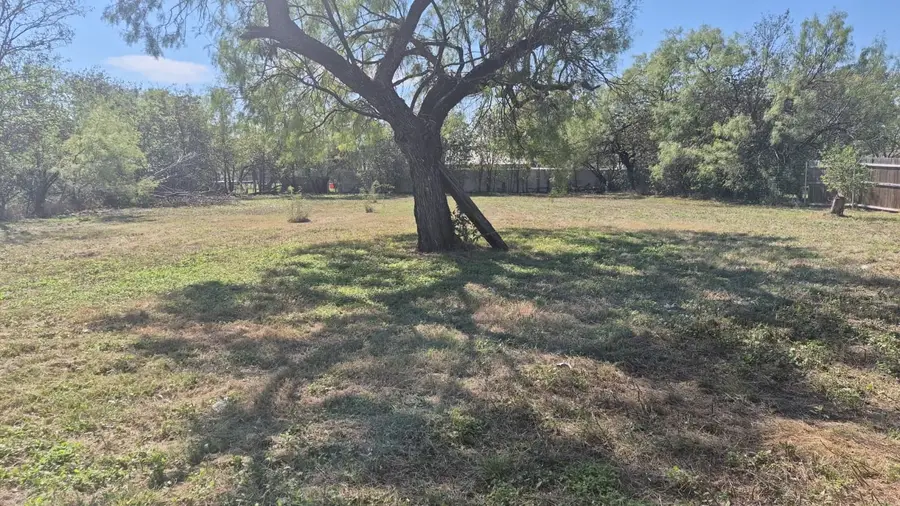 1006 SE Martin Luther King Jr Street Se, Mineral Wells, TX 76067 - #3