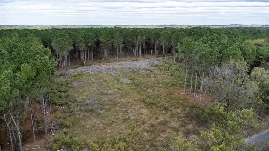 TBD Wolf Road, Pittsburg, TX 75686 - #2