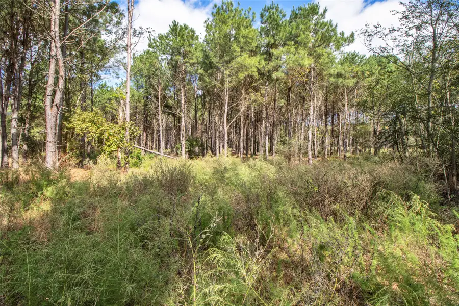 TBD Wolf Road, Pittsburg, TX 75686 - #3