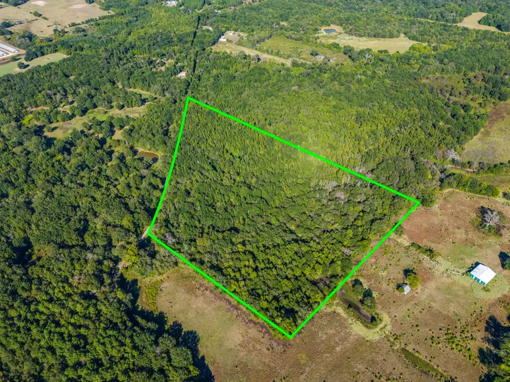 TBD County Road 3324, 24 Ac, Pittsburg, TX 75686 - #1