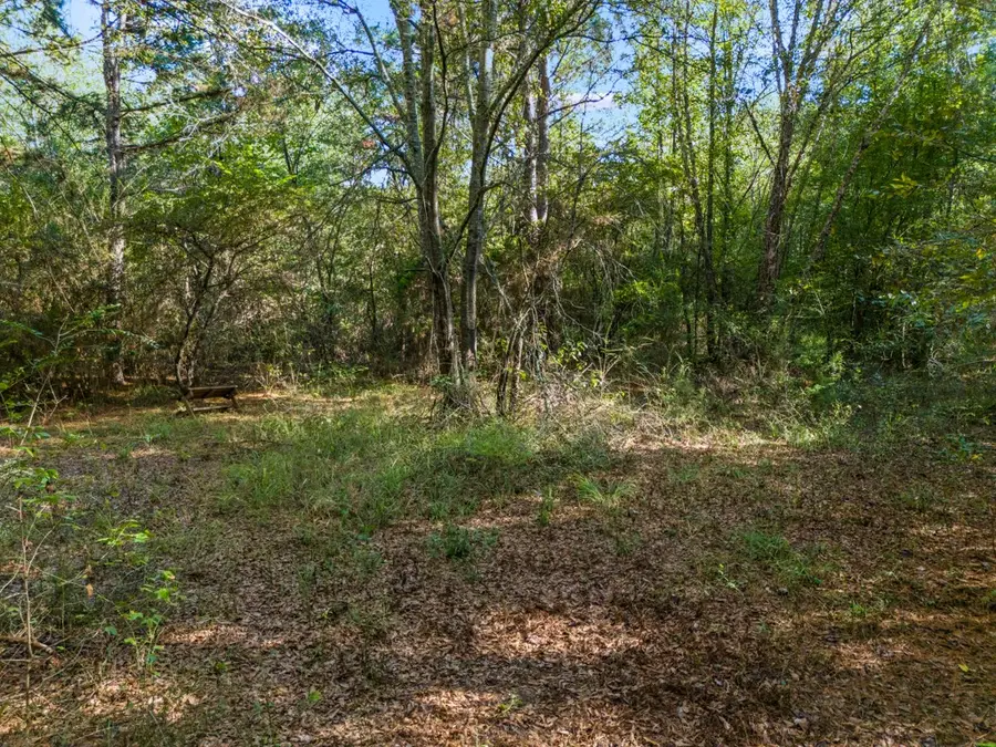 TBD County Road 3324, 24 Ac, Pittsburg, TX 75686 - #2