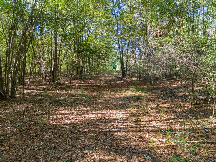 TBD County Road 3324, 24 Ac, Pittsburg, TX 75686 - #3