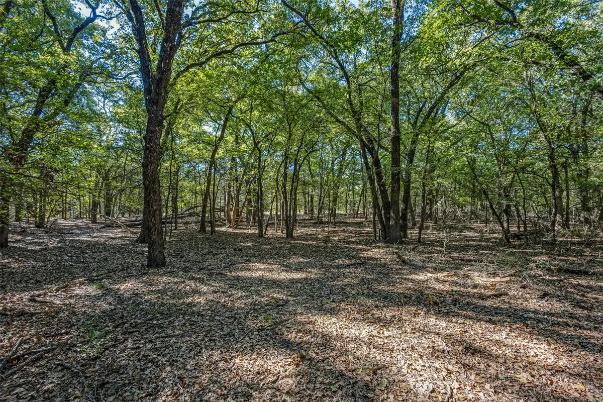 TD Pearce Street, Collinsville, TX 76233 - #1