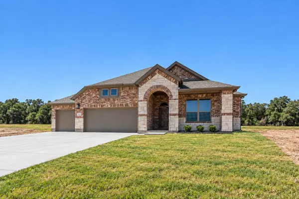 325 Skeen Peak Drive, Springtown, TX 76082