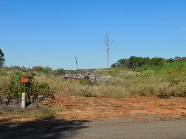 0 Jackie Byrd Road, Plain Dealing, LA 71064