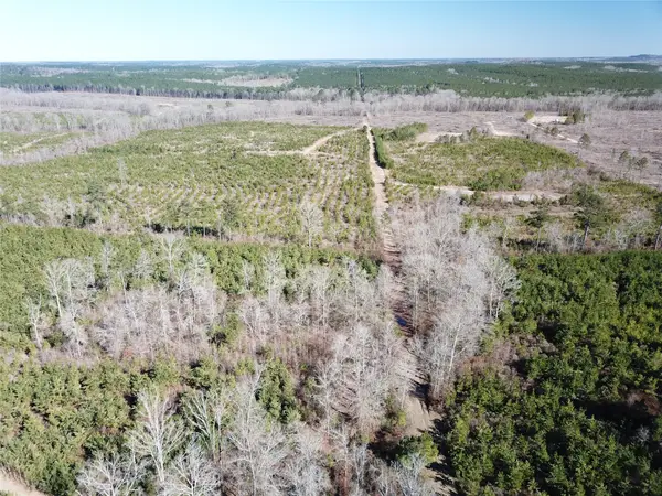 00 Off Hwy 517, Gibsland, LA 71028
