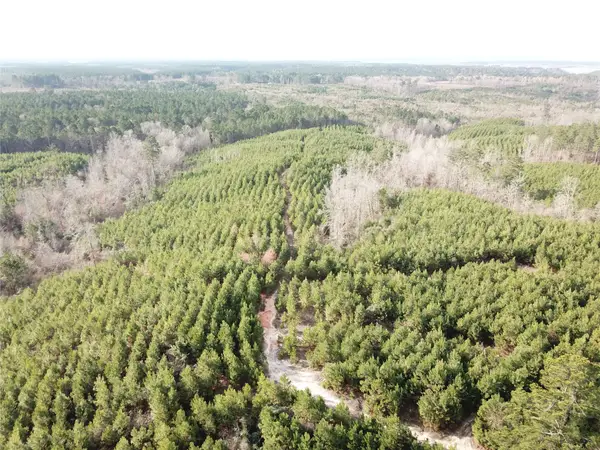 00 Off Mcmanus Road, Zwolle, LA 71486