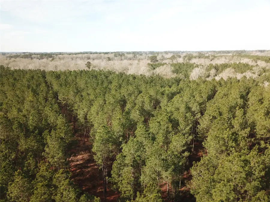 00 Off Countree Road, Zwolle, LA 71486 - #3