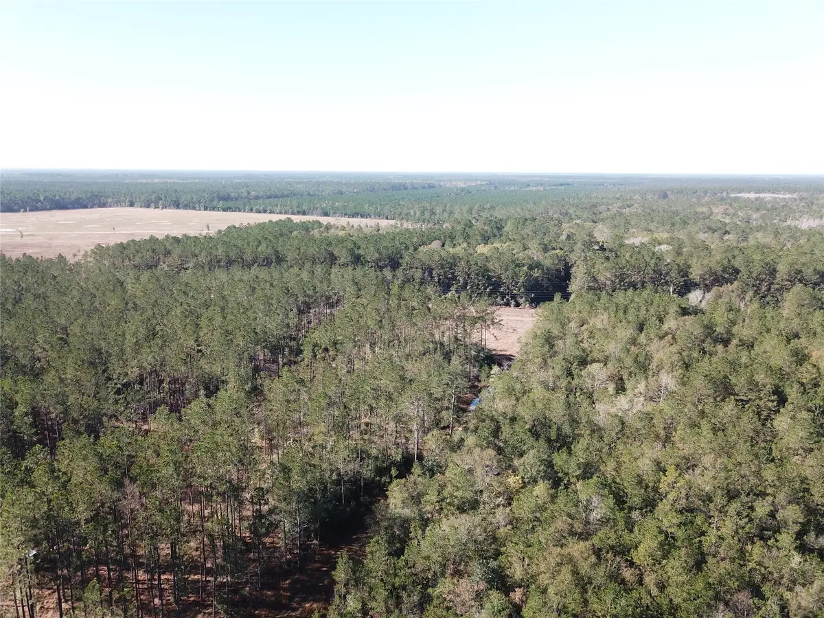 00 Hunting Lodge Road, Kountze, TX 77625 - #1