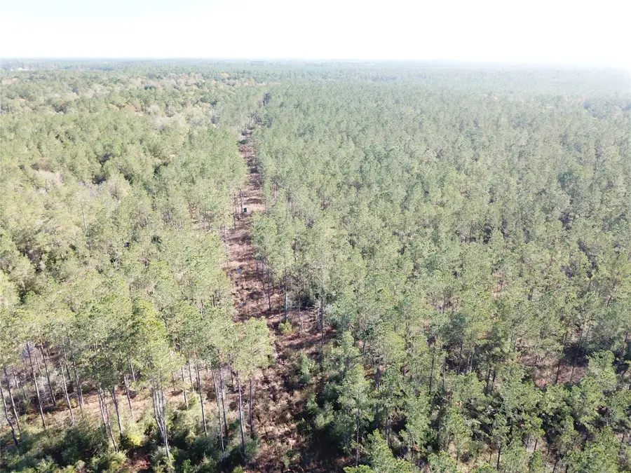 00 Hunting Lodge Road, Kountze, TX 77625 - #3