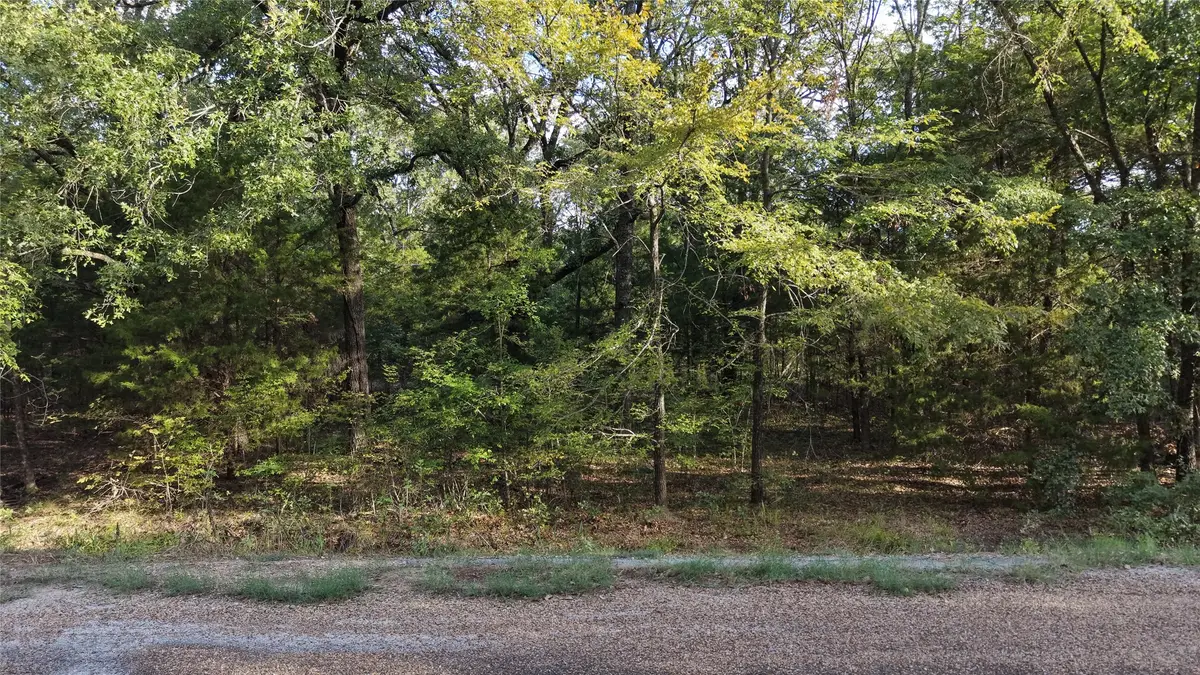 0 Chillacothe Trail, Mabank, TX 75156 - #1