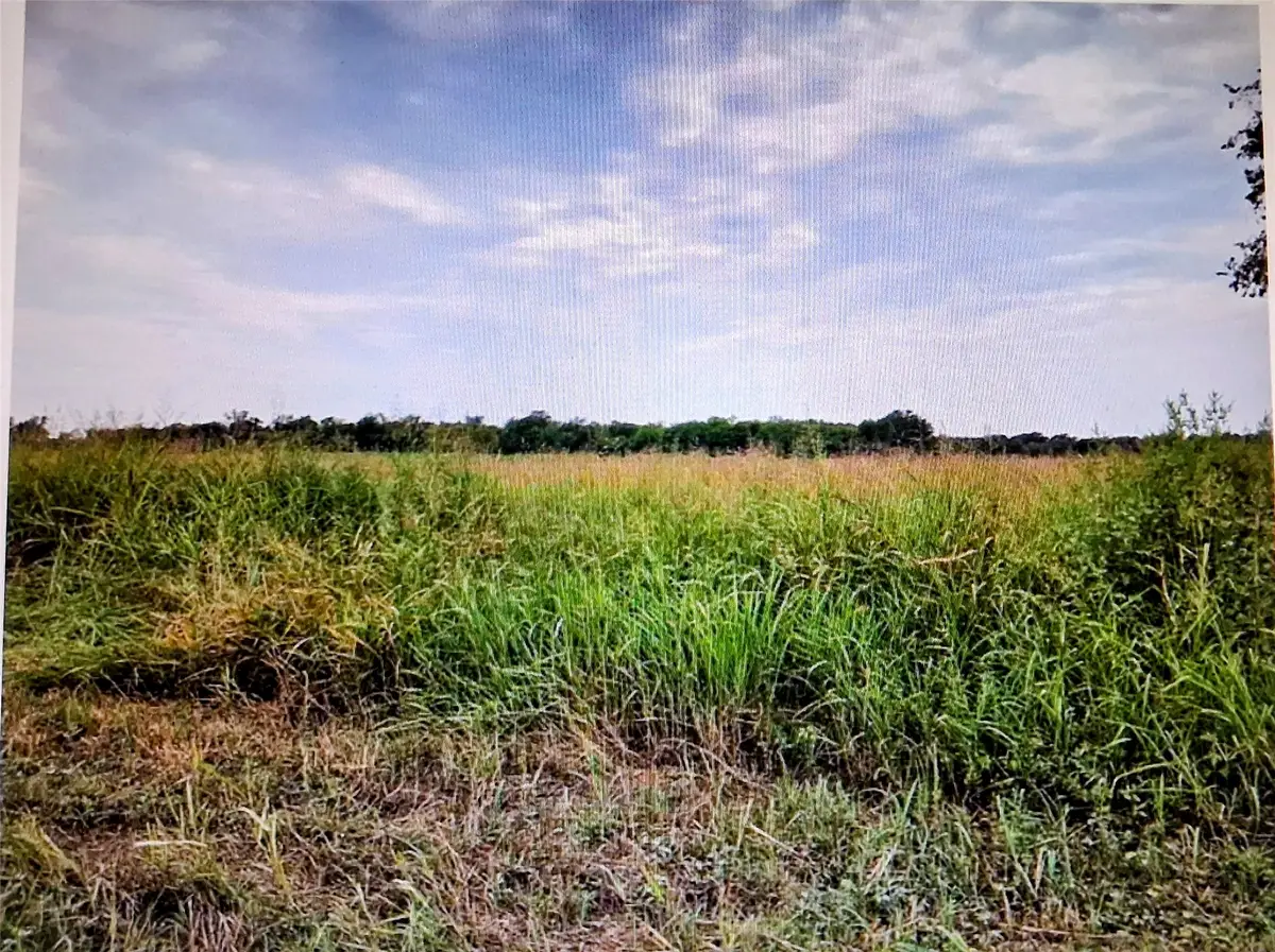 3615 County Road #10 Acres, Honey Grove, TX 75446 - #1