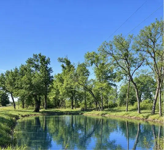 1.62 acres Texas Highway 11 W, Sulphur Springs, TX 75482 - #1