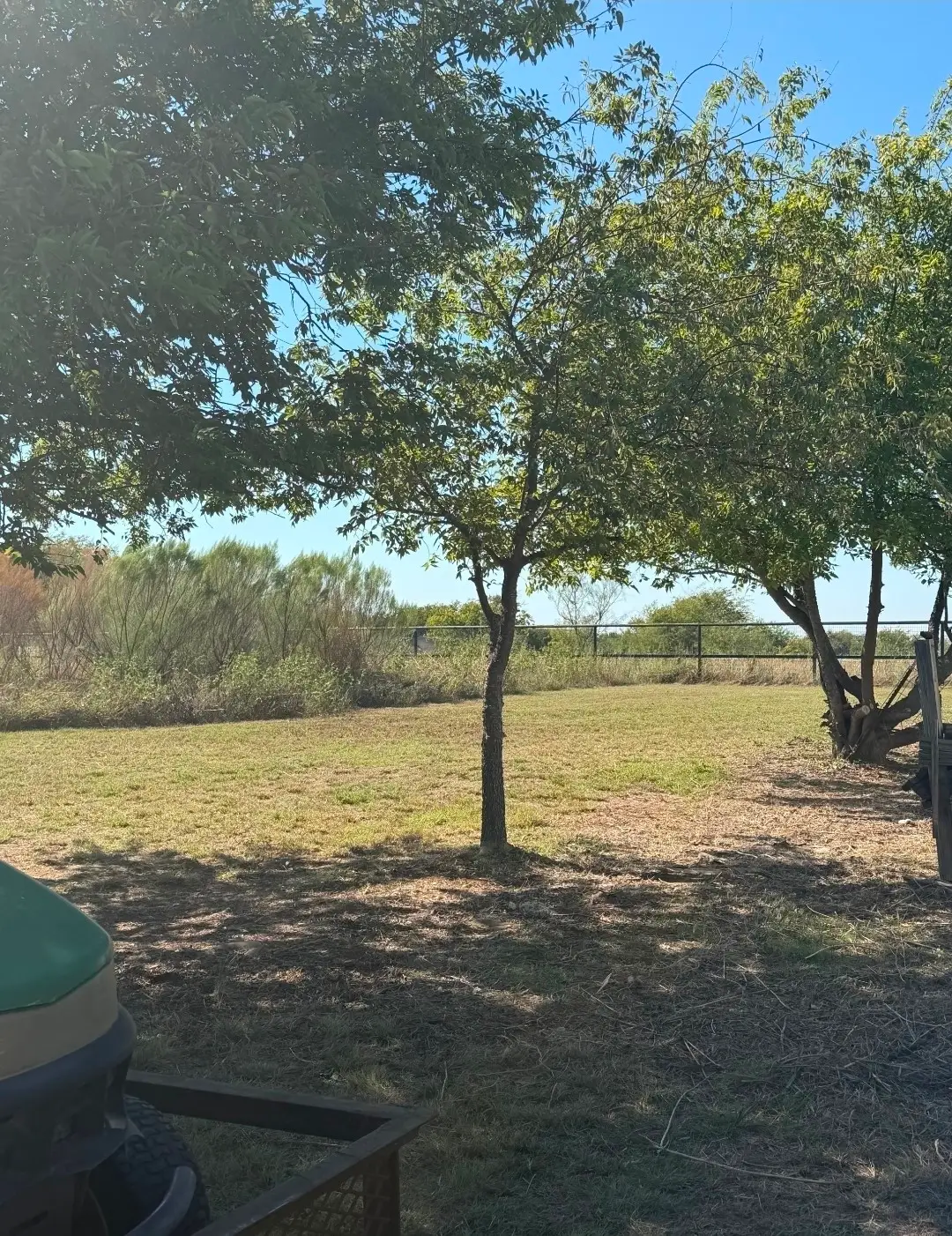 4201 Black Forest Trail, Joshua, TX 76058 - #1