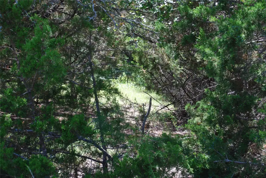 11030 Juniper Drive, Whitney, TX 76692 - #3