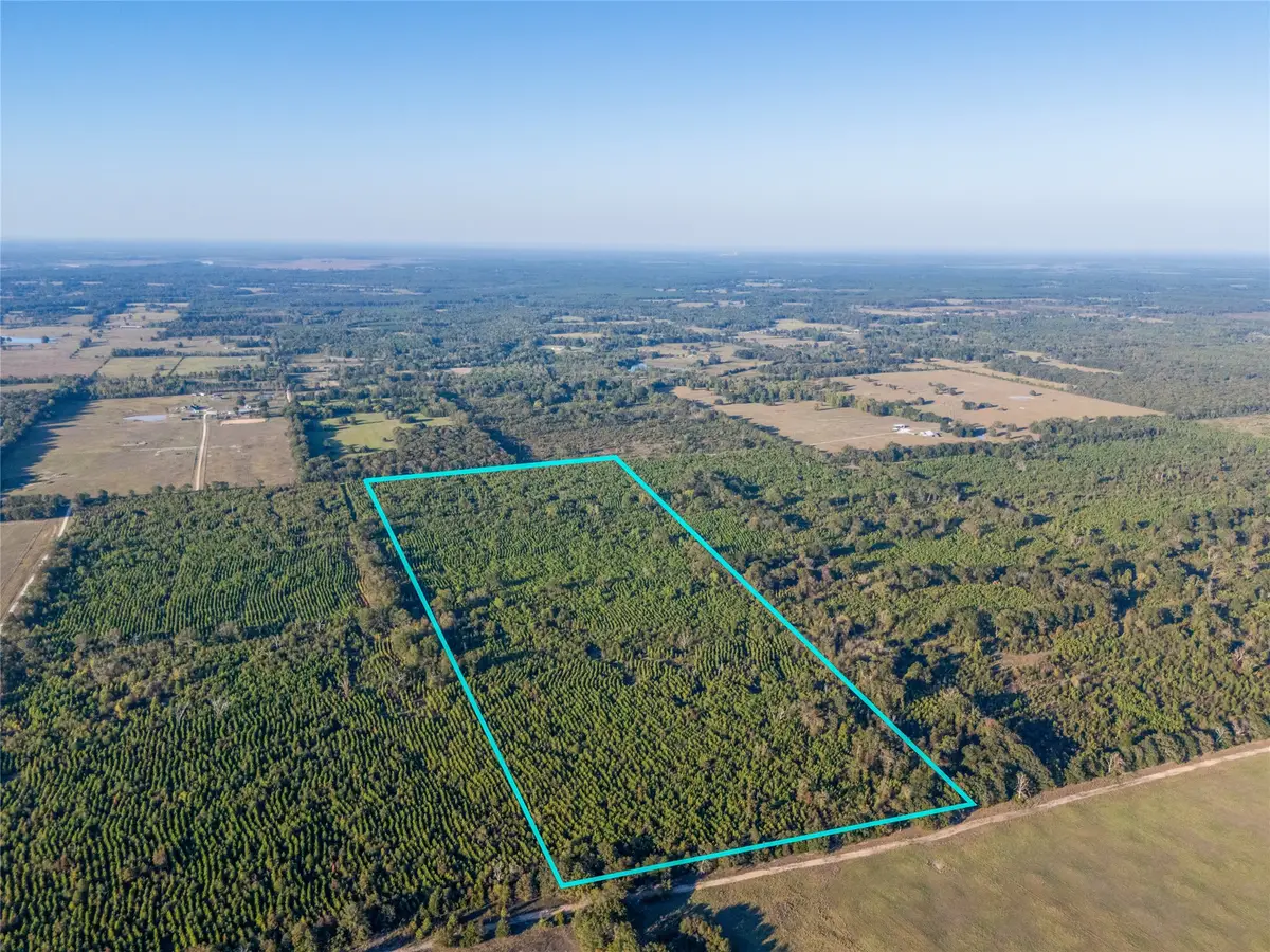 TBD S County Road 2242 #Tract 2, Bagwell, TX 75412 - #1