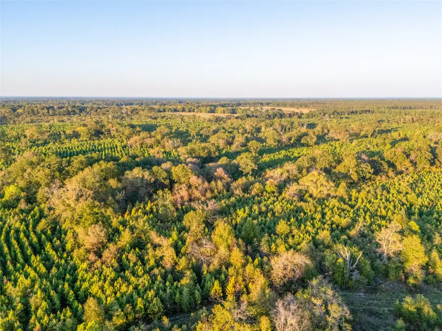 TBD S County Road 2242 #Tract 3, Bagwell, TX 75412 - #3