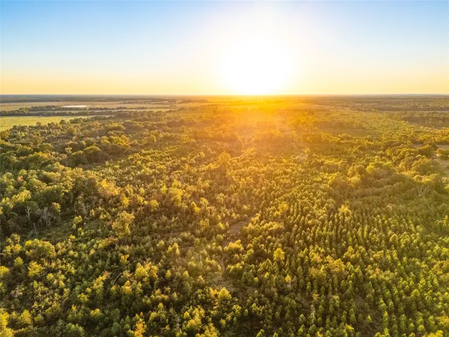 TBD S County Road 2242 #Tract 4, Bagwell, TX 75412 - #3