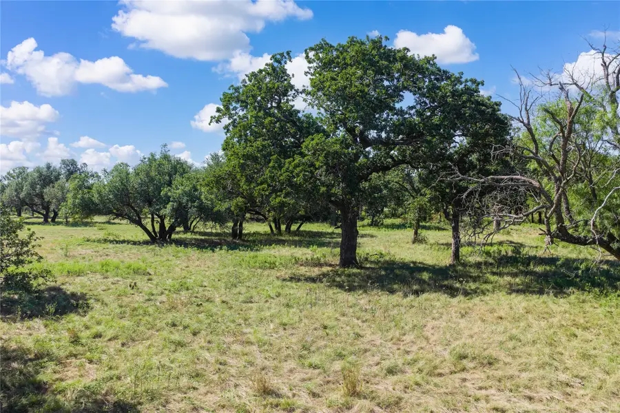 To Be Determined County Road 309, Eastland, TX 76448 - #2