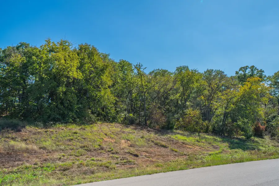 Lot 14 Robinson Canyon Road, Aubrey, TX 76227 - #2