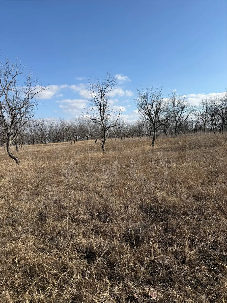 1209 County Road 416, Comanche, TX 76442 - #2