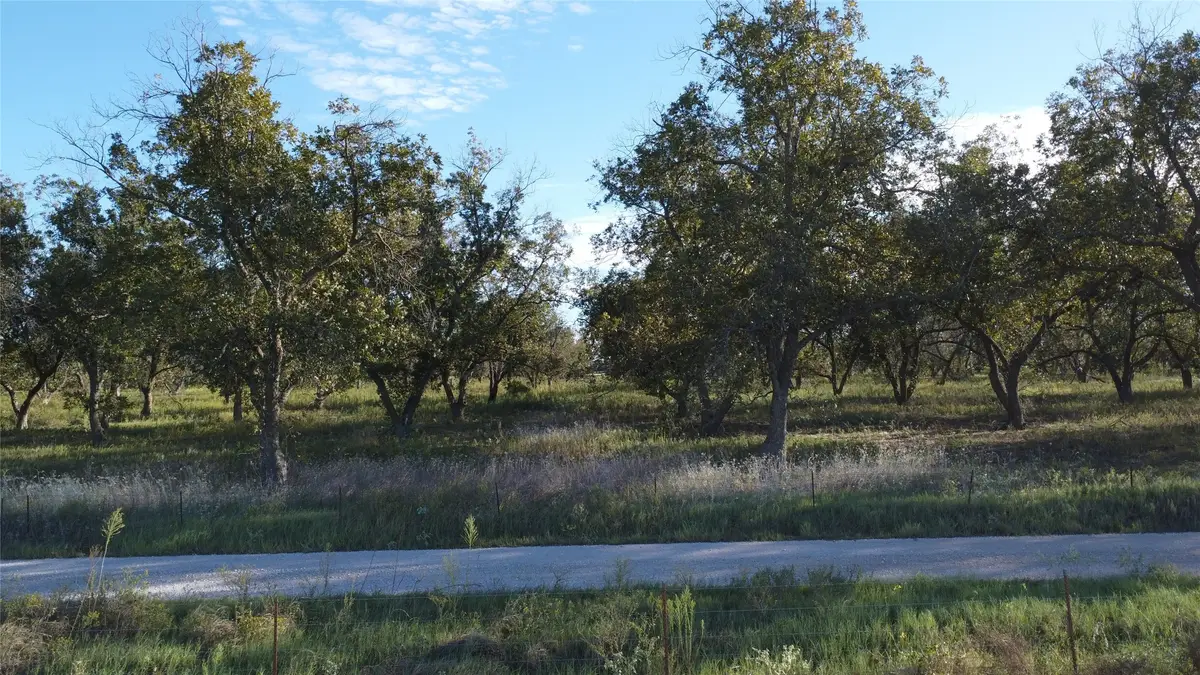 Lot 4 County Road 461, De Leon, TX 76444 - #1