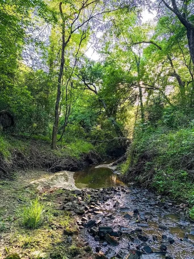 0000 County Road 855, Teague, TX 75860 - #2