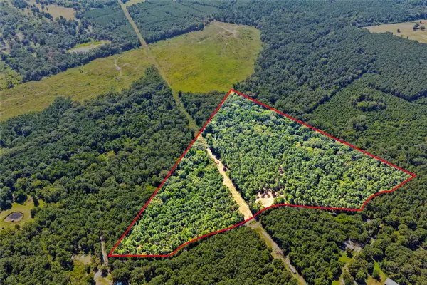 TBD County Road 1240, Pittsburg, TX 75686