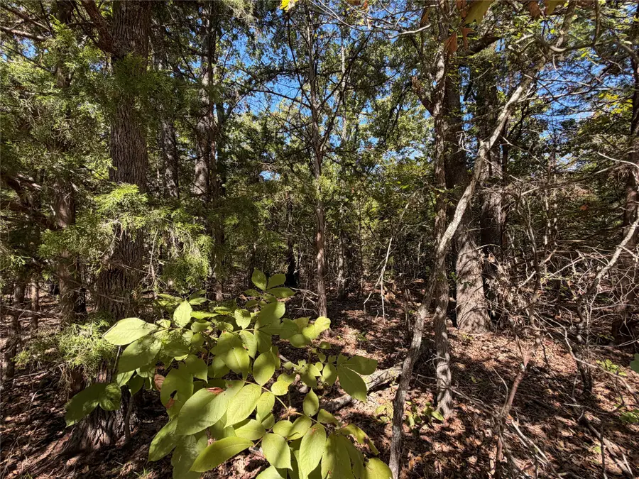 34730 County Road, Sumner, TX 75473 - #3