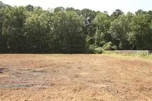 Lot 5 Peaceful Pines, Vivian, LA 71082 - #2