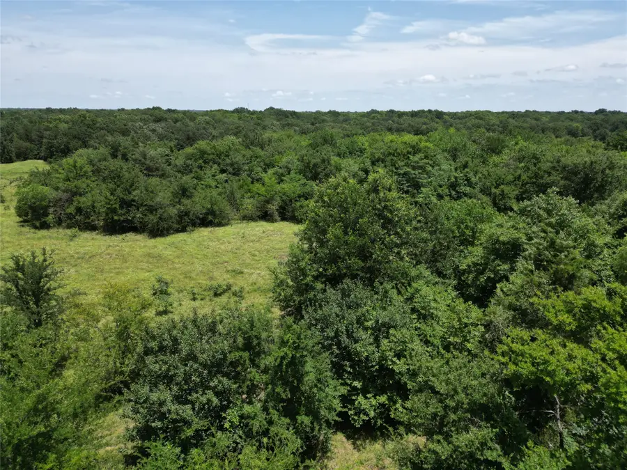Lot 3 County Road 4766, Sulphur Springs, TX 75482 - #3