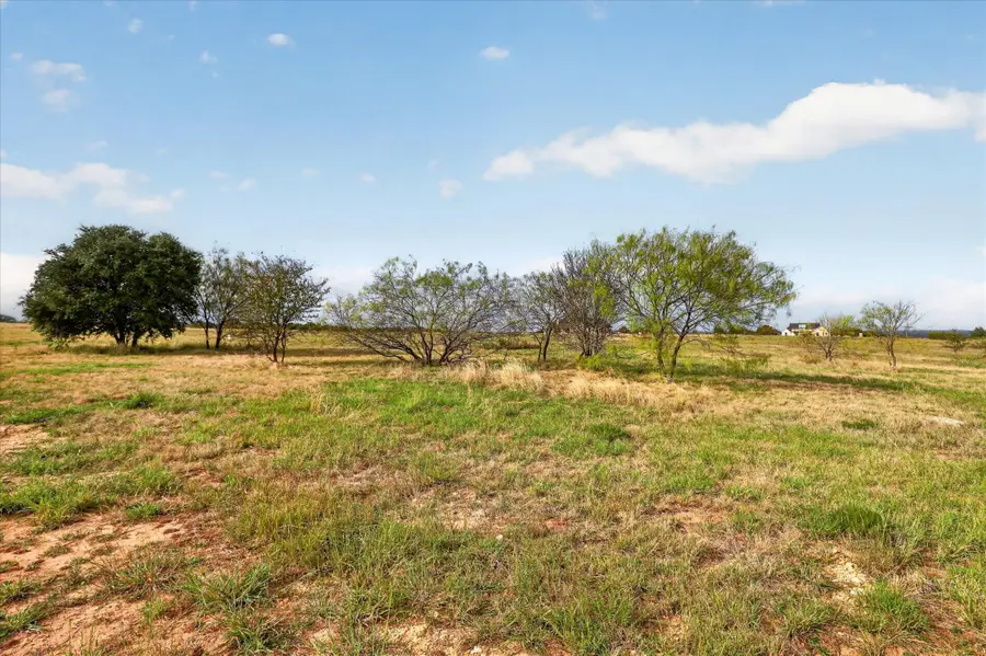 3005 Mesquite Bend Court, Weatherford, TX 76087 - #3