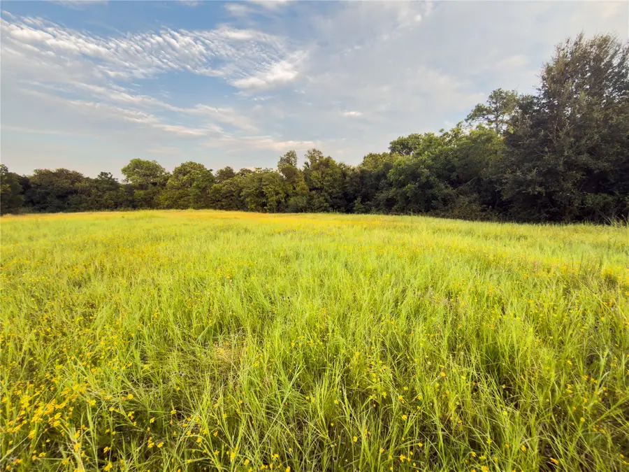 Lot 4 Wilson Road, Waco, TX 76705 - #3