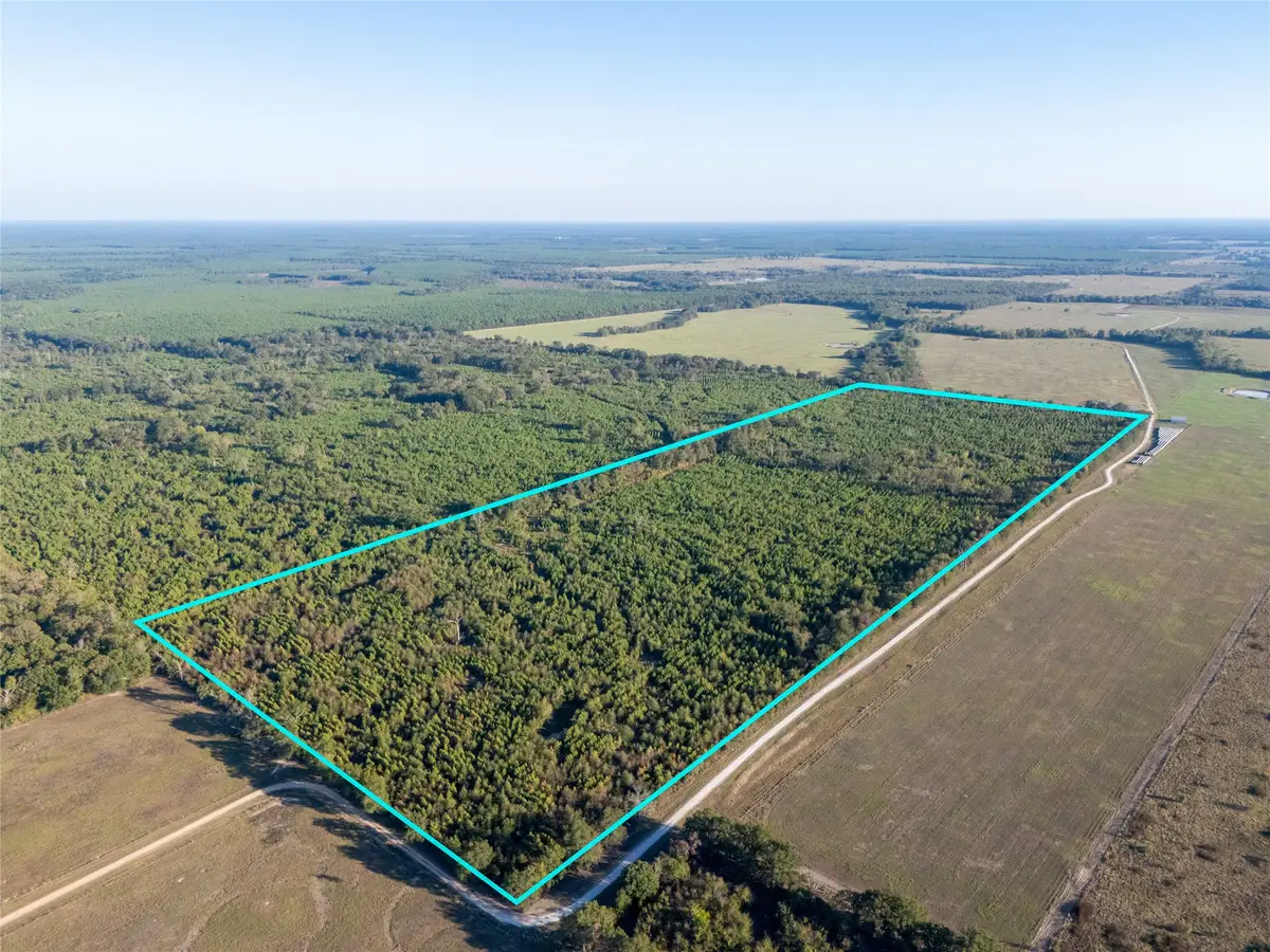 TBD S County Road 2242 #Tract 1, Bagwell, TX 75412 - #1
