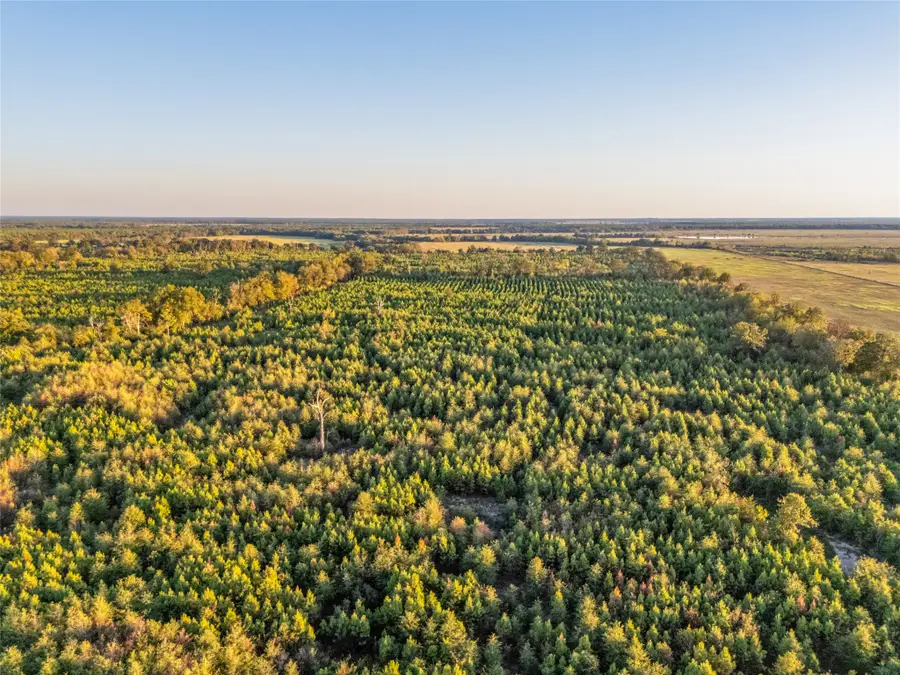 TBD S County Road 2242 #Tract 1, Bagwell, TX 75412 - #3