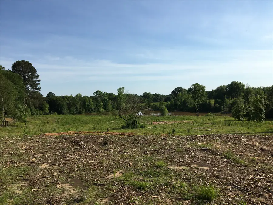 TBD Falcon View, Diana, TX 75640 - #3