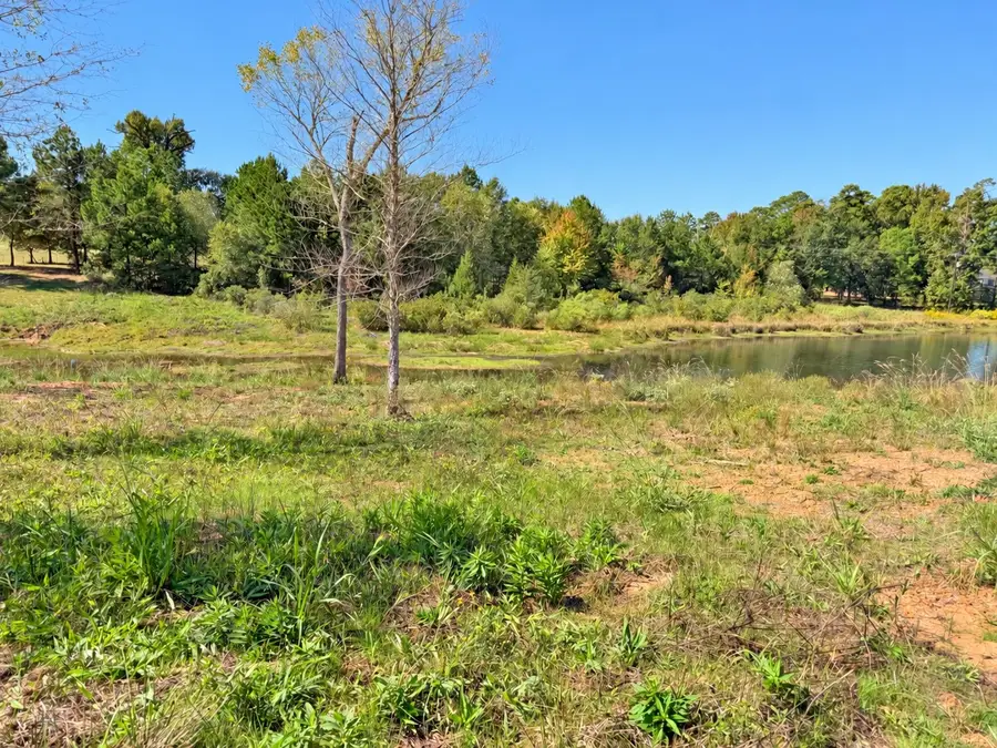 15997 Fm 2015, Winona, TX 75792 - #3