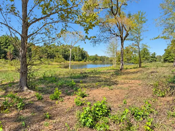 TBD Fm 2015 Lot B, Winona, TX 75792