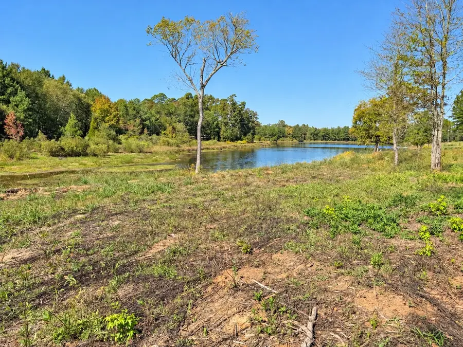 TBD Fm 2015 Lot B, Winona, TX 75792 - #2