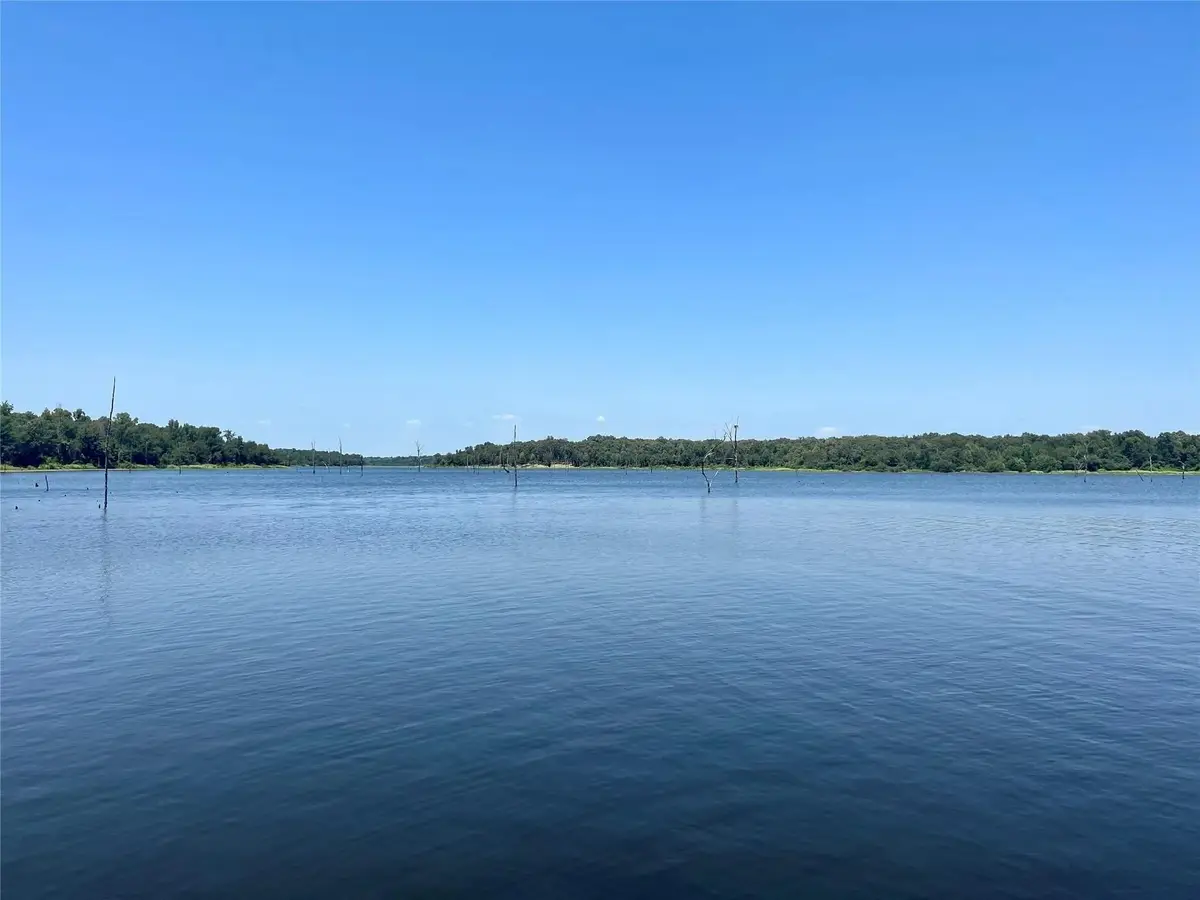 1 Angler Shores Drive, Yantis, TX 75497 - #1