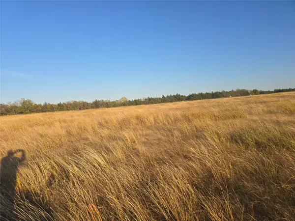 TBD 14 Acres Tract 4 County Rd 36000, Honey Grove, TX 75446