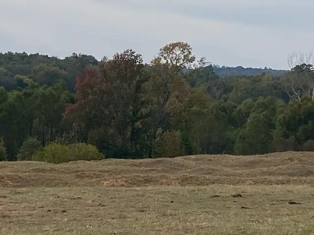 TBD Fm 315, Palestine, TX 75803 - #1