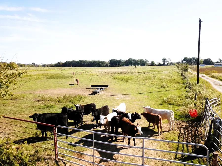 TBD Vz County Road 2512, Canton, TX 75103 - #3
