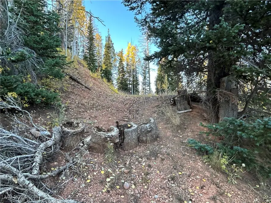 660 W Ski View Drive, Brian Head, UT 84719 - Image #3