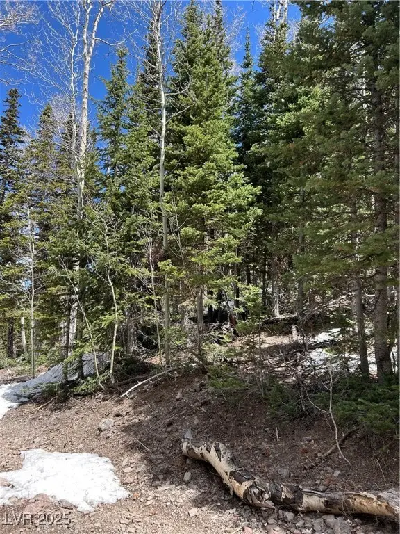 380 N Forest Drive, Brian Head, UT 84719