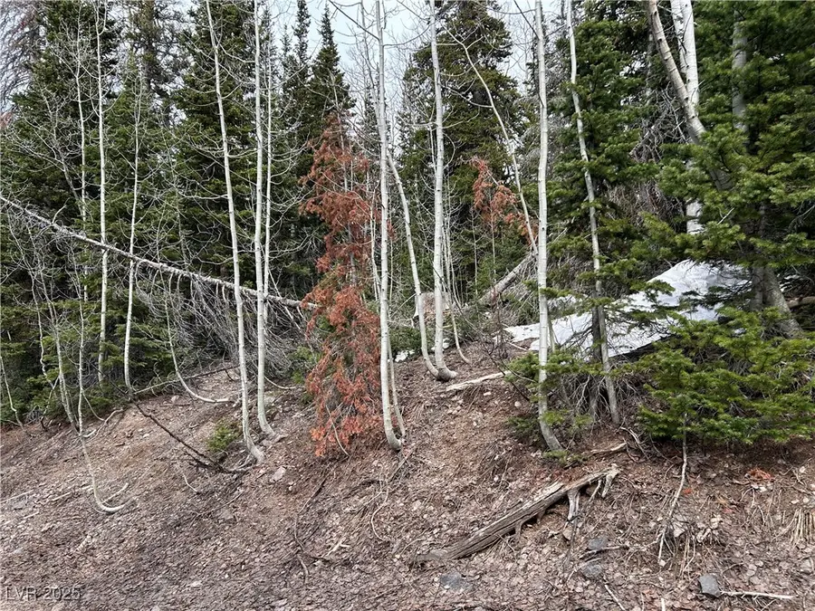 380 N Forest Drive, Brian Head, UT 84719 - #2