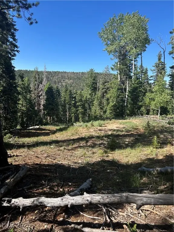 845 W Tamarisk Circle, Duck Creek Village, UT 84762 - Image #1