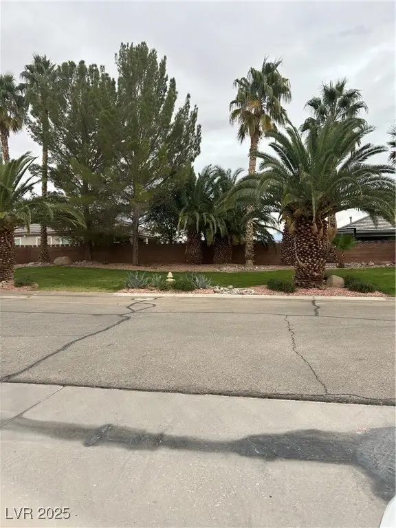 1141 Thomas Bay Circle, Logandale, NV 89021 - Image #3