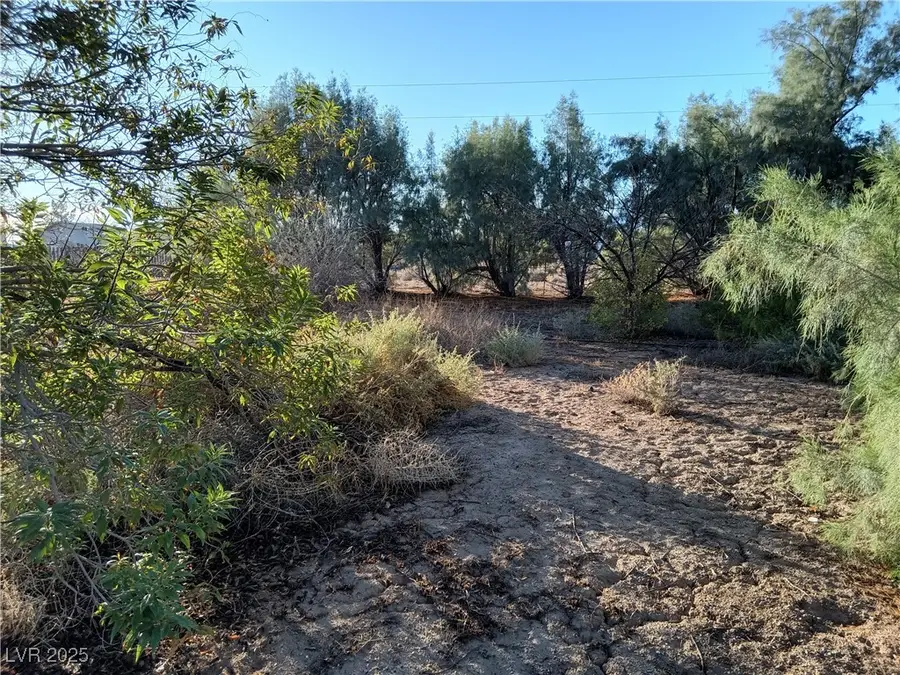 3391 Fritz Lane, Pahrump, NV 89048 - Image #3