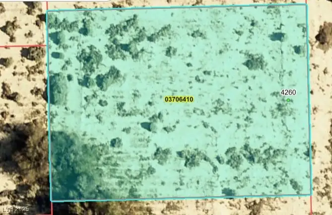 4260 S Oakleaf Avenue, Pahrump, NV 89048 - #3